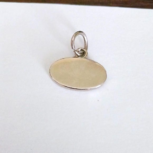 Weight Watchers Freestyle Silver-tone Oval Charm - Picture 2 of 4